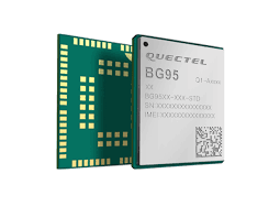 BG95-M3LA-64-SGNS