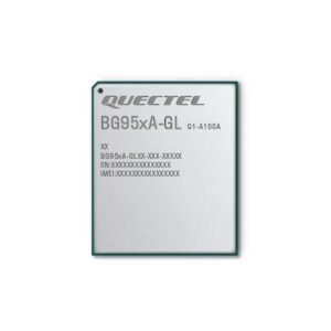 BG955AGLAA-N06-TA0AA